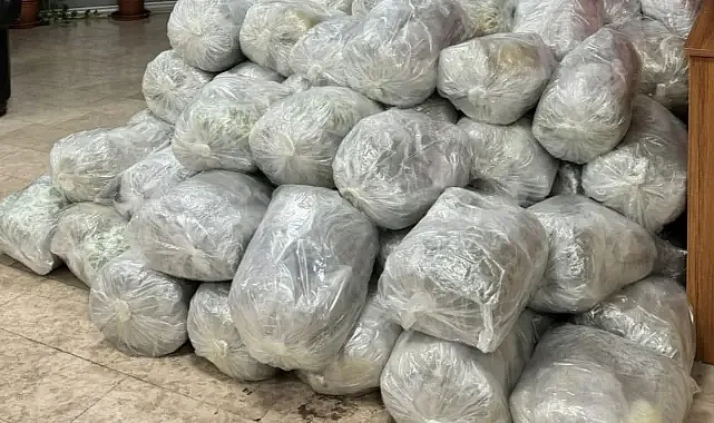 Şanlıurfa'da bir araçtan çıkanlar şoke etti