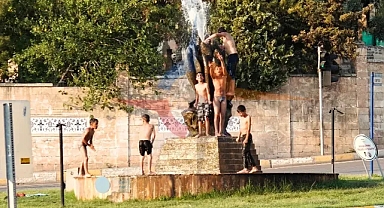 Şanlıurfa'da korkutan görüntü!