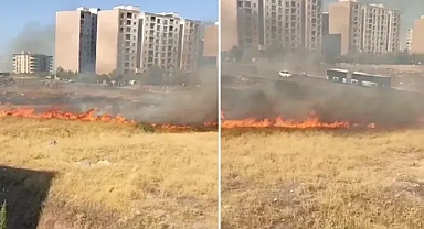 Şanlıurfa’da otluk alanda yangın çıktı!