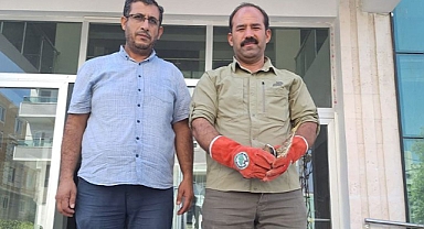 Urfa'da bir vatandaş tarafından yaralı halde bulundu!