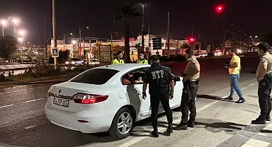 Urfa'da gece saatlerinde uygulama! Çok sayıda şahıs yakalandı!