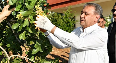 Urfa'da hasat başladı! Vali Şıldak da katıldı!