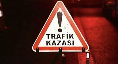 Urfa’da kaza! Otomobil koyun sürüsünün arasına daldı!