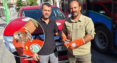 Urfa’da yaralı halde bulundu! Tedavi altına alındı!