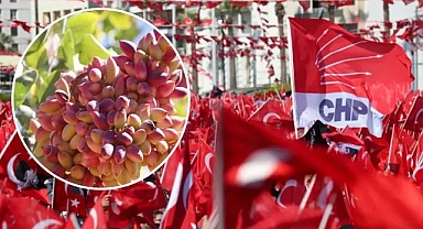 Urfa Milletvekili Tanal davet etti! CHP, Antep’te ‘Fıstık Mitingi’ düzenleyecek!