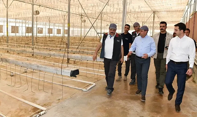 Vali Şıldak tarımsal çalışmaları inceledi