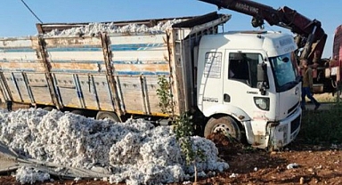 Bozova'da Pamuk yüklü kamyon devrildi.
