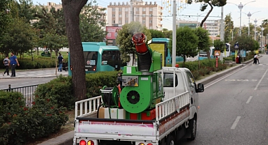Büyükşehir, Beyaz Sinekle Mücadele Ediyor