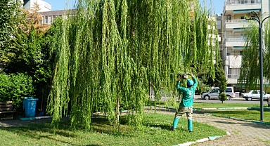 Haliliye Belediyesi İle Yeşil Alanlara Önem Veriliyor