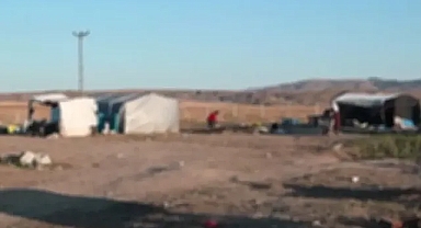 Mevsimlik işçi ailenin çocuğu çadırda ölü bulundu!