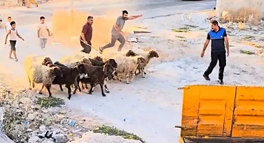 Şanlıurfa'da bayramı andıran görüntüler! Bir ilçeden diğerine kaçtılar