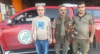 Şanlıurfa'da elektrik çarptı! Ekipler harekete geçti