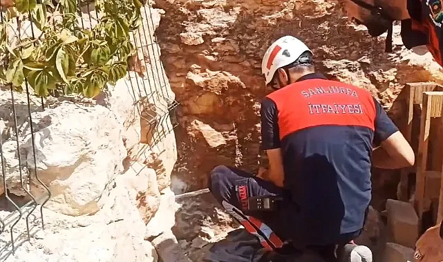 Şanlıurfa’da kayalıklara sıkıştı!