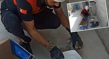 Urfa’da minik canların yardımına itfaiye koştu!