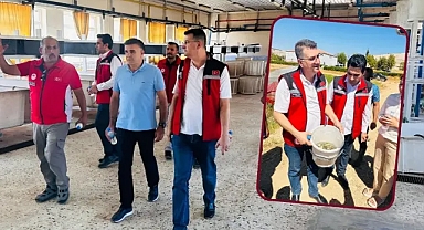 Urfa'da ne kadar balık üretildi?