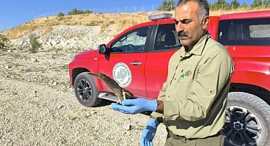 Urfa'da tedavisi tamamlandı!