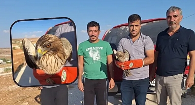Urfa'da yaralı halde bulundu!