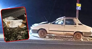 Urfa'daki ölüm yolunda kaza!