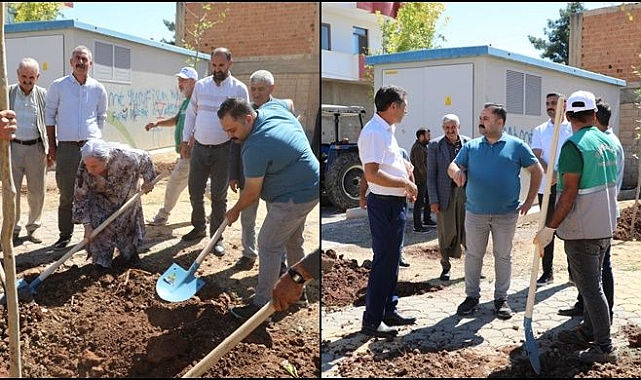 Viranşehir Belediyesi, 'her Cana Bir Fidan' Kampanyasını Başlattı
