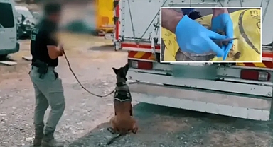 Yerlikaya açıkladı! Urfa’da zehir tacirlerine operasyon!