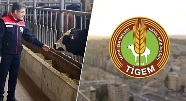 Bakan duyurdu: Urfa'da merkez kurulacak!