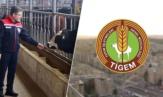 Bakan duyurdu: Urfa'da merkez kurulacak!