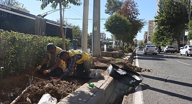 Büyükşehir 'den peyzaj düzenlemesi