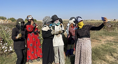 Dünya Kadın Çiftçiler Günü’nde Şanlıurfa’da Çiftçi Kadınlara Gül Dağıtıldı