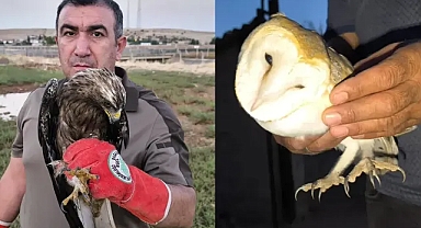 Ekipler, onlar için harekete geçti