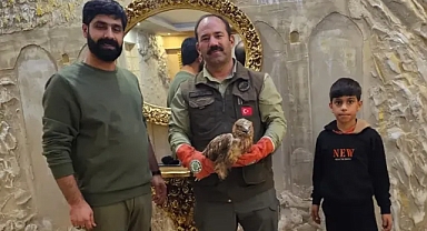 Şanlıurfa'da bulundu!