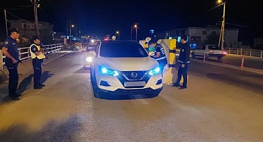 Şanlıurfa’da il geneli denetim! 31 aranan şahıs yakalandı!