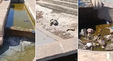 Şanlıurfa’ya yakışmayan görüntü!