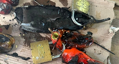 Urfa’da gözler bunu da gördü! İsot ve patlıcana küpe kilit takıldı!