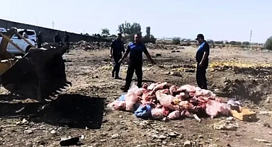 Urfa'da korkutan görüntü!