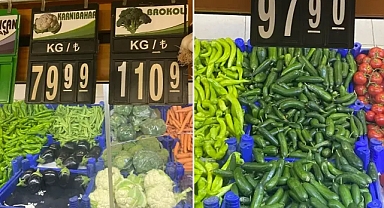 Urfalı Kadın Üretici Göktepeli: Kaliteli buğdayı zararına sattım!