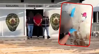 Yok böyle dolandırıcılık! Urfa'da 25 milyonluk vurgun