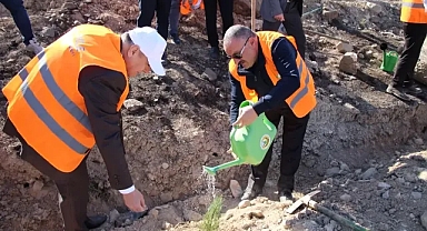 DEPSAŞ Enerji’den Geleceğe Yeşil Miras: 3 Bin Fidan Toprakla Buluşuyor