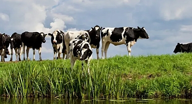 Destekleme ödemeleri için son dakika açıklaması!