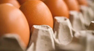 Etiket sürekli değişiyor! Yumurtanın fiyatı uçtu!