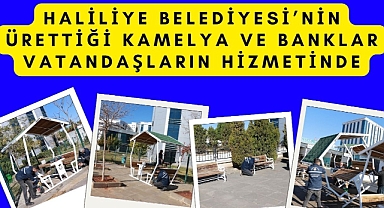 Haliliye Belediyesi’nin Ürettiği Kamelya ve Banklar Vatandaşların Hizmetinde