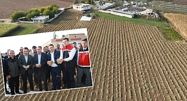Harran Ovası’na alternatif olarak ekildi! Rekoltesi yüksek çıktı!