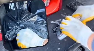 Hoparlörün içinden çıktı! Şanlıurfa'da ekipler ele geçirdi