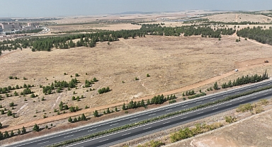 Şanlıurfa Büyükşehir Belediyesi 100 Dönümlük Hatıra Ormanı İçin Hazırlıklara Başladı