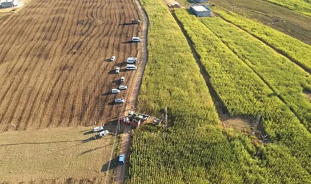 Şanlıurfa’da 15 trafoya el konuldu!
