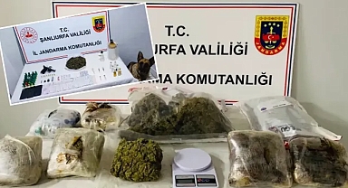 Şanlıurfa’da 7 adrese operasyon! Uyuşturucu, tabanca, para ele geçirildi