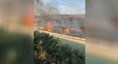 Şanlıurfa’da GAP Vadisi’nde yangın!