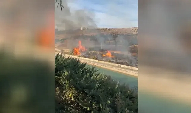 Şanlıurfa’da GAP Vadisi’nde yangın!