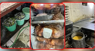 Şanlıurfa'da mide bulandıran görüntüler!