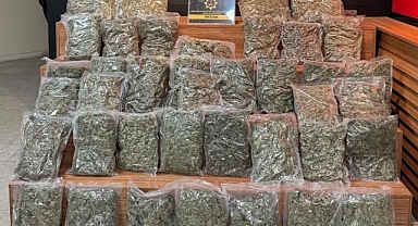 Şanlıurfa'da mücadele sürüyor!