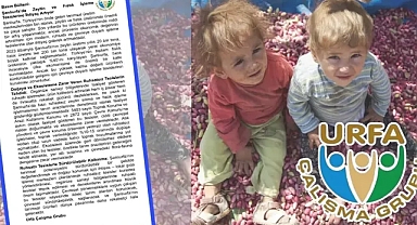 Şanlıurfa’da Zeytin ve Fıstık İşleme Tesisleri İhtiyacı Artıyor